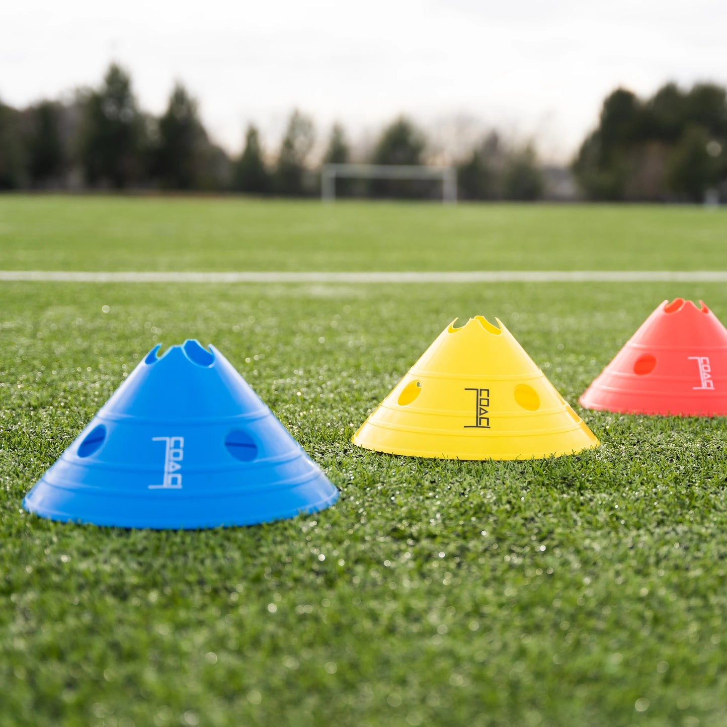 Large Training Cones 10PK