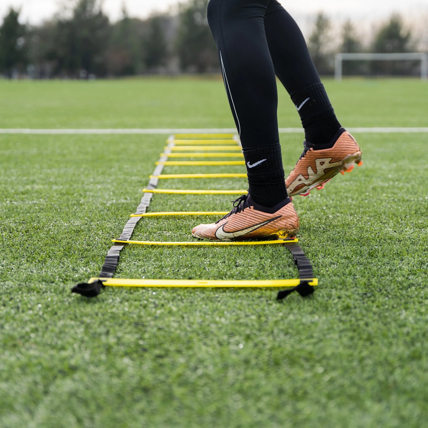 Agility Ladder