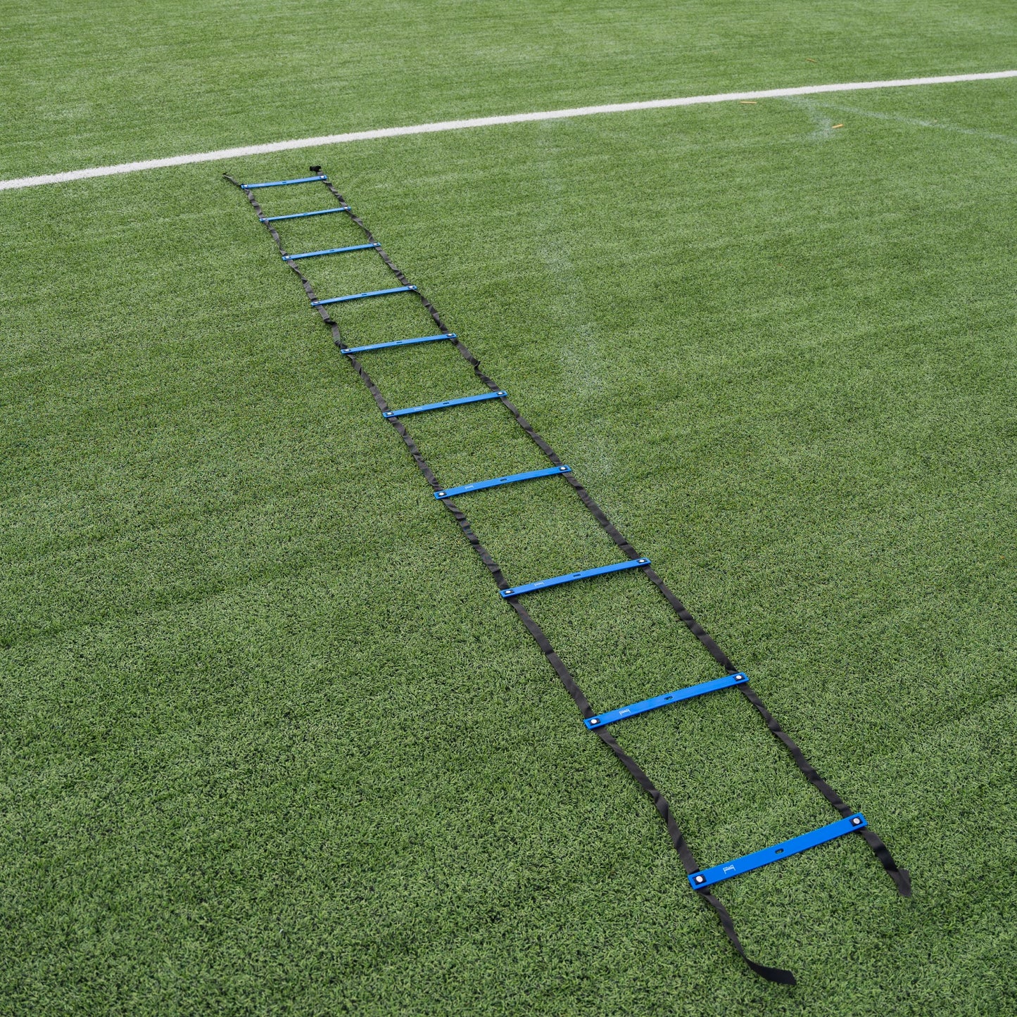 Adjustable Agility Ladder