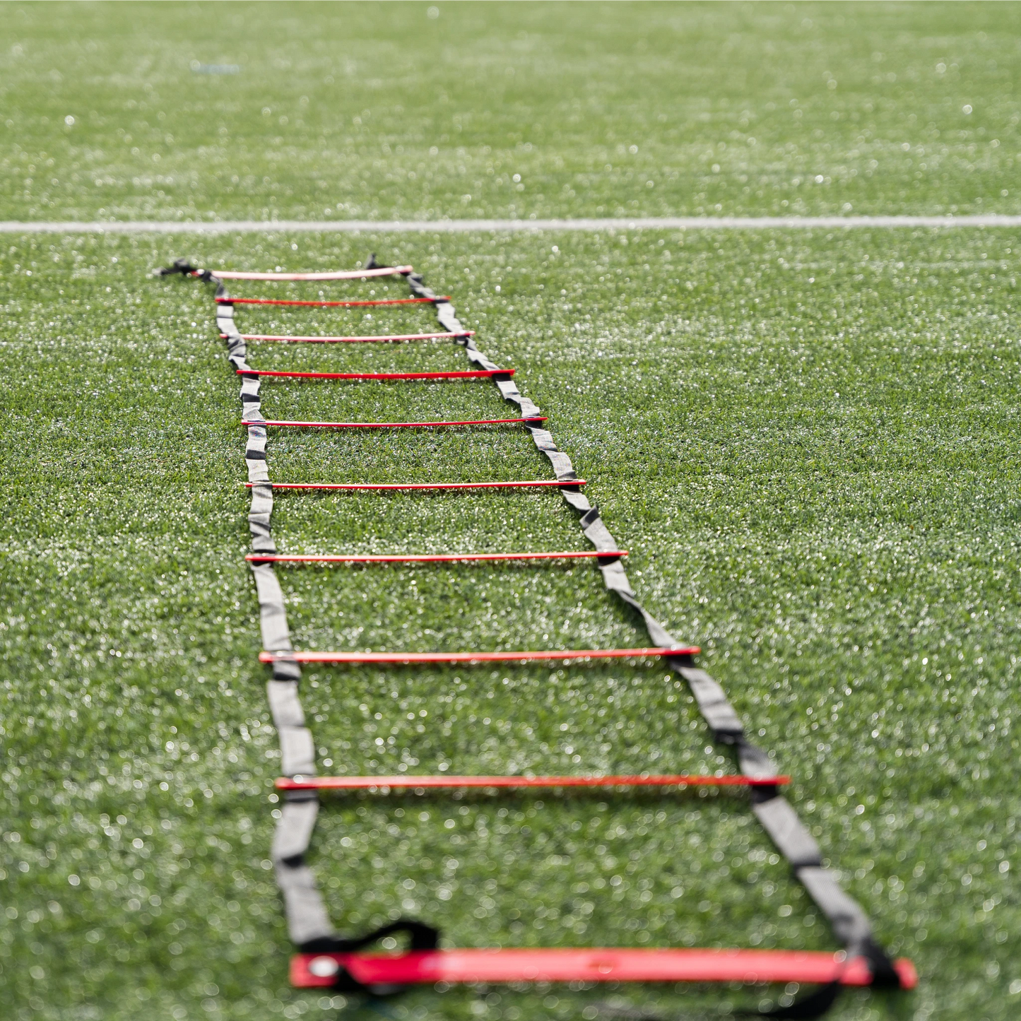 Agility Ladder