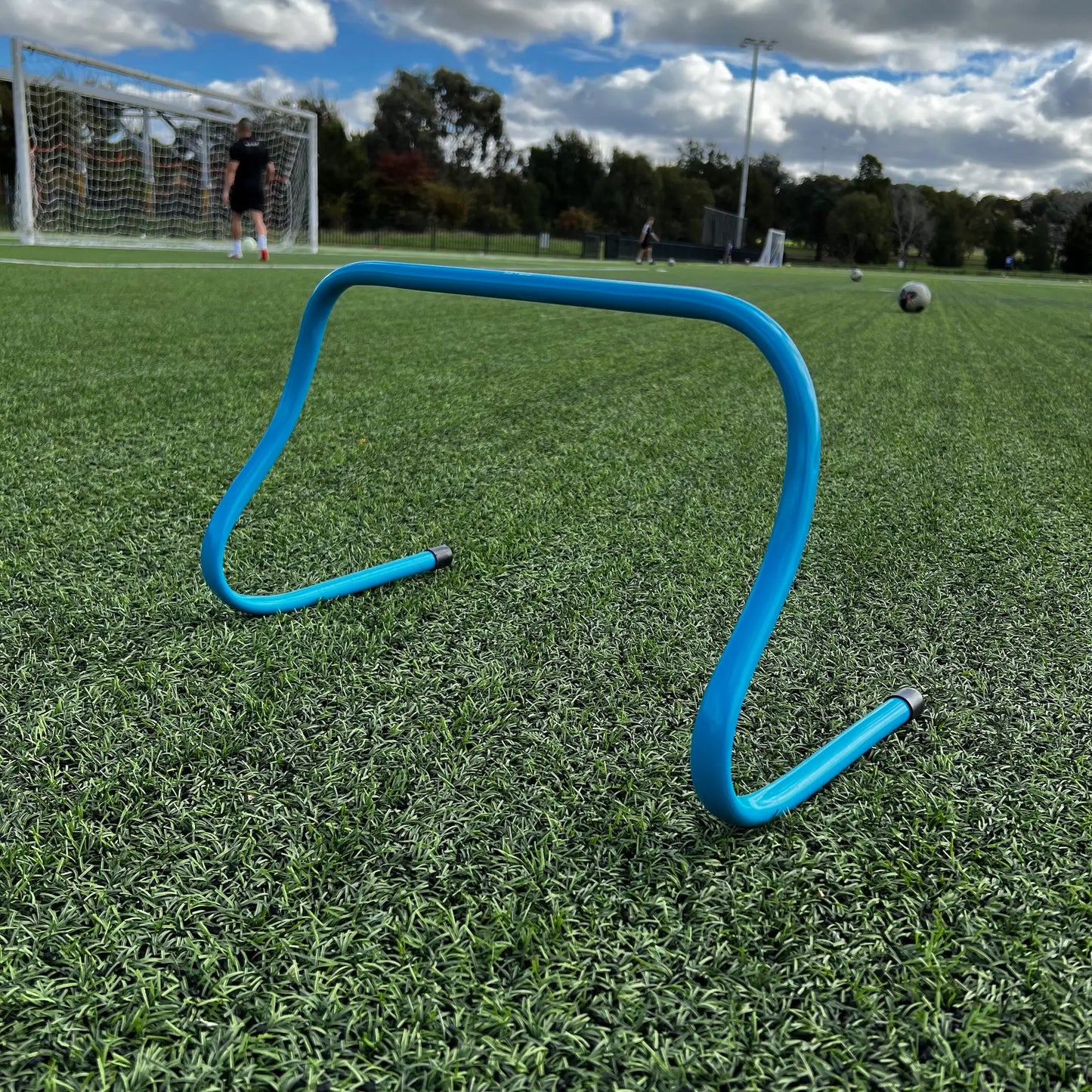 Agility Hurdles