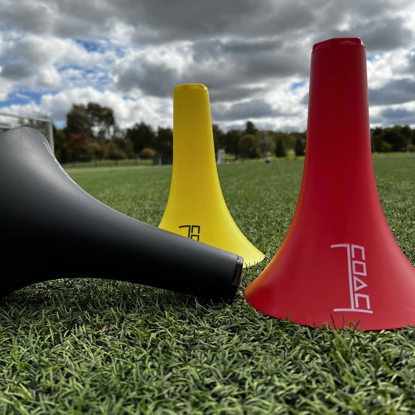 Speaker Cones