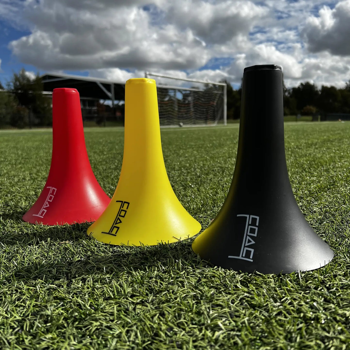 Speaker Cones