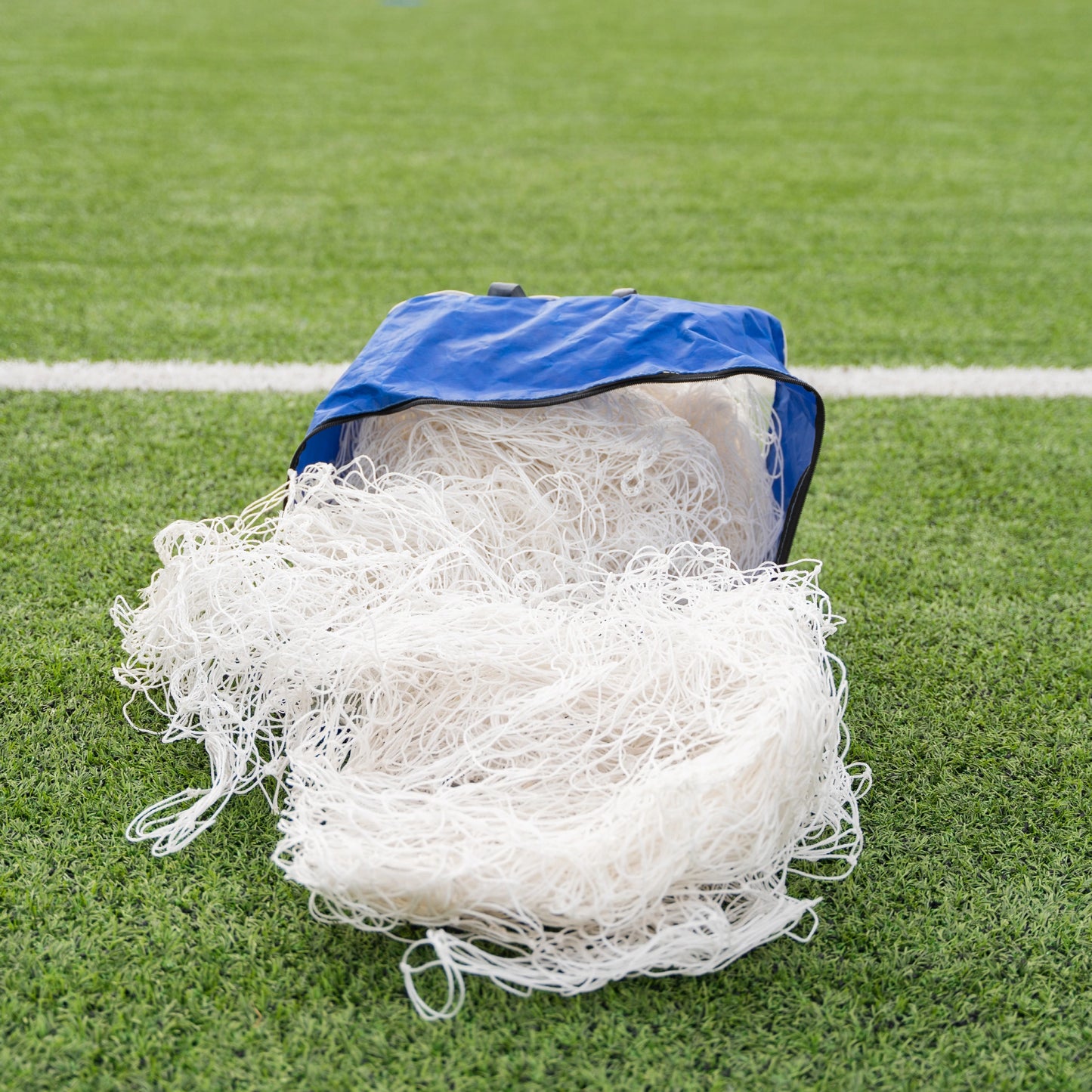 Standard Goal Net
