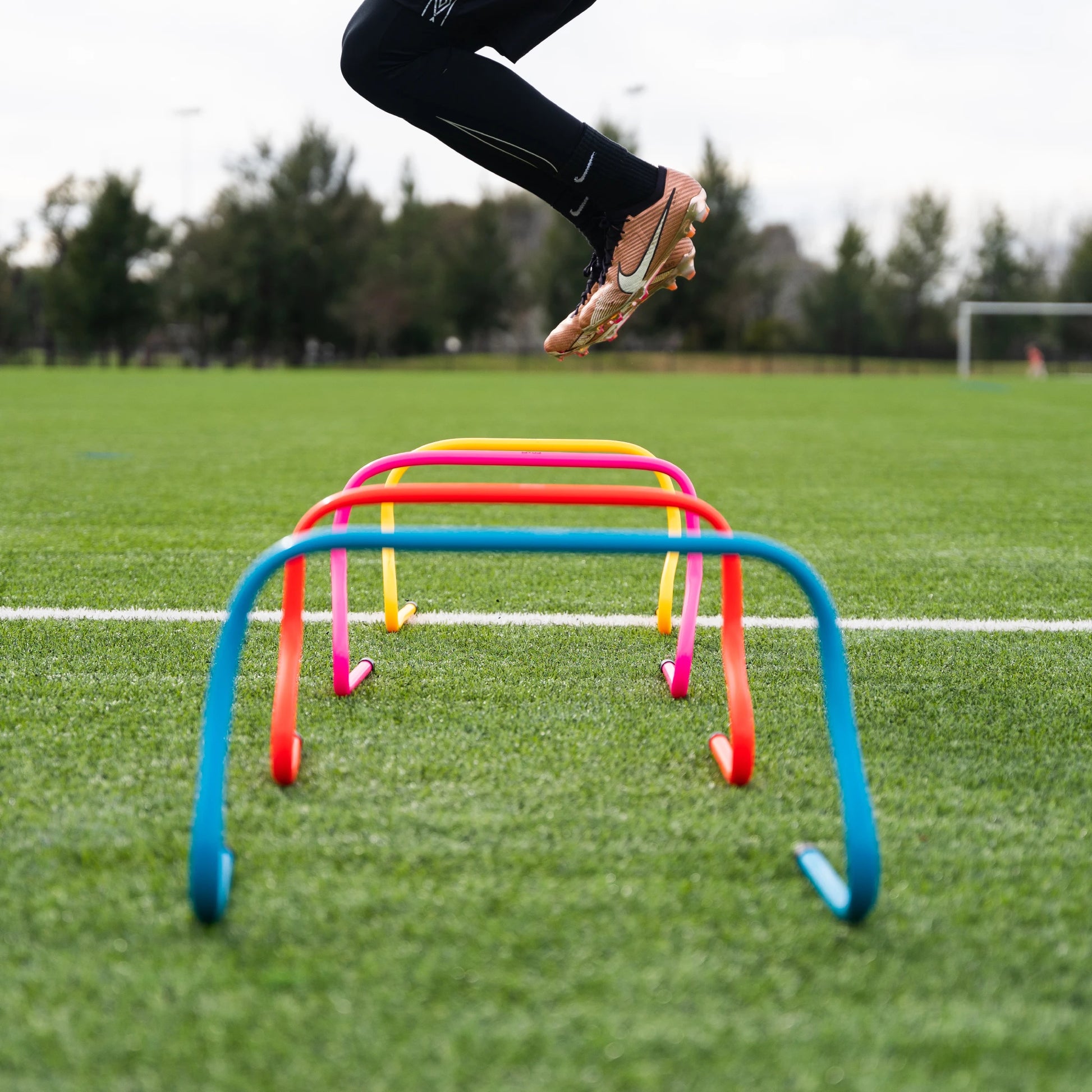 Agility Hurdles