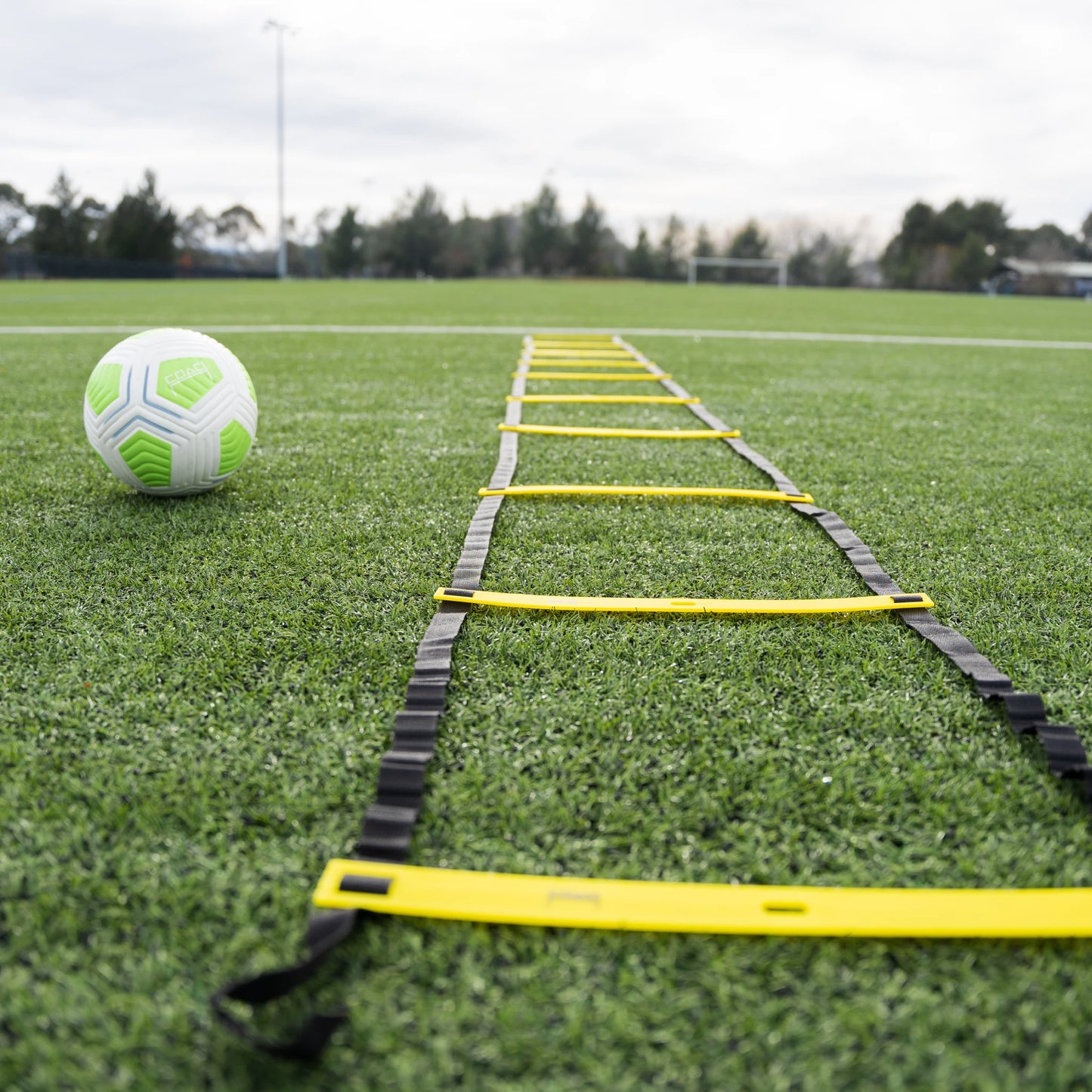Adjustable Agility Ladder
