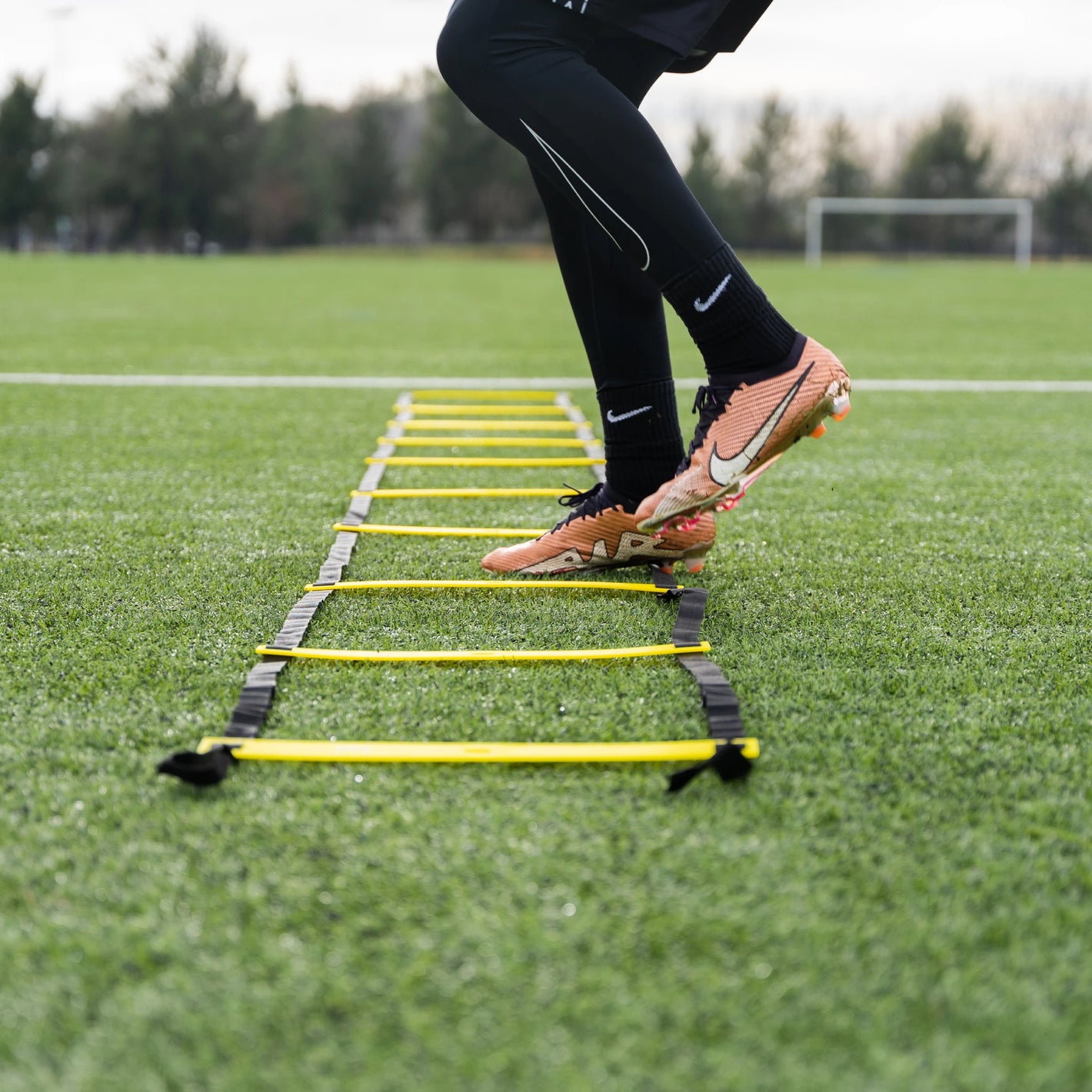 Adjustable Agility Ladder