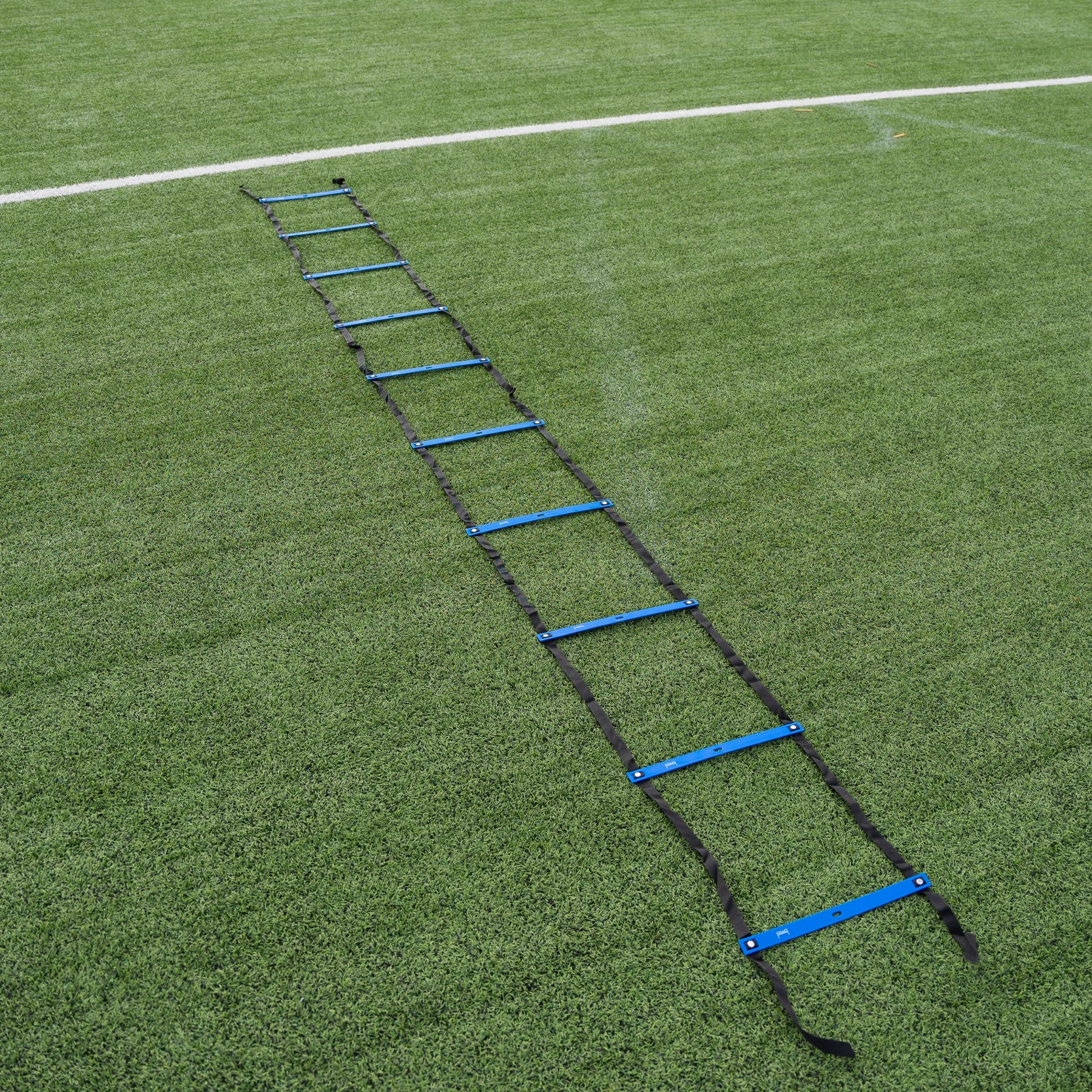 Adjustable Agility Ladder